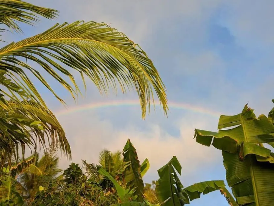 Eco-Farm Glamping Mini House Villa Pahoa