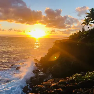 Privatunterkunft Wild Blue Water, Pahoa